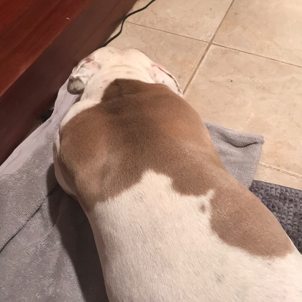 Meet your Posher, Isabel